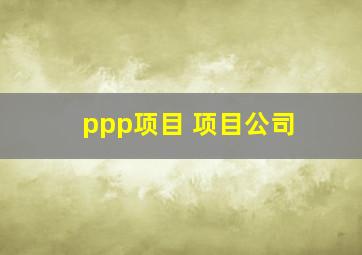 ppp项目 项目公司